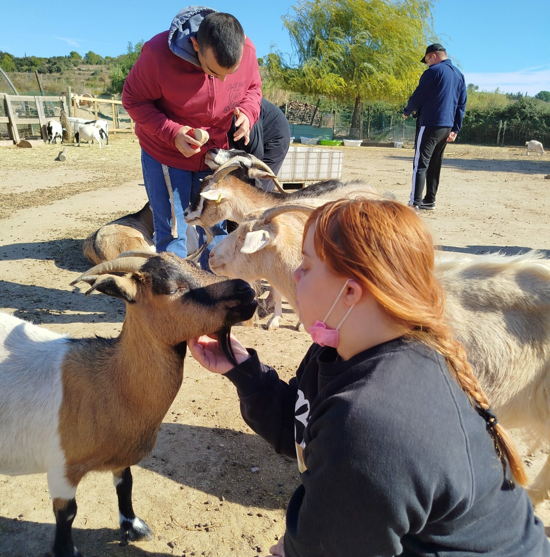 Activité Médiation Animale